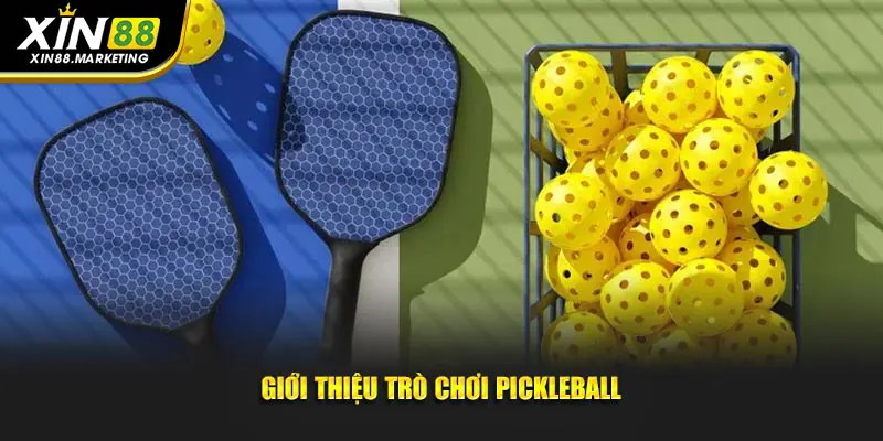 Giới thiệu trò chơi Pickleball